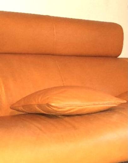 Designer leather sofa