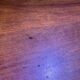 Table en noyer Louis Philippe