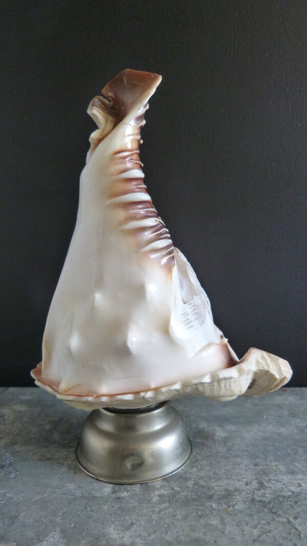 Lampe veilleuse coquillage camée décor mythologique