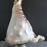 Cameo seashell night light with mythological decor