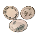 Trio of plates green tones
