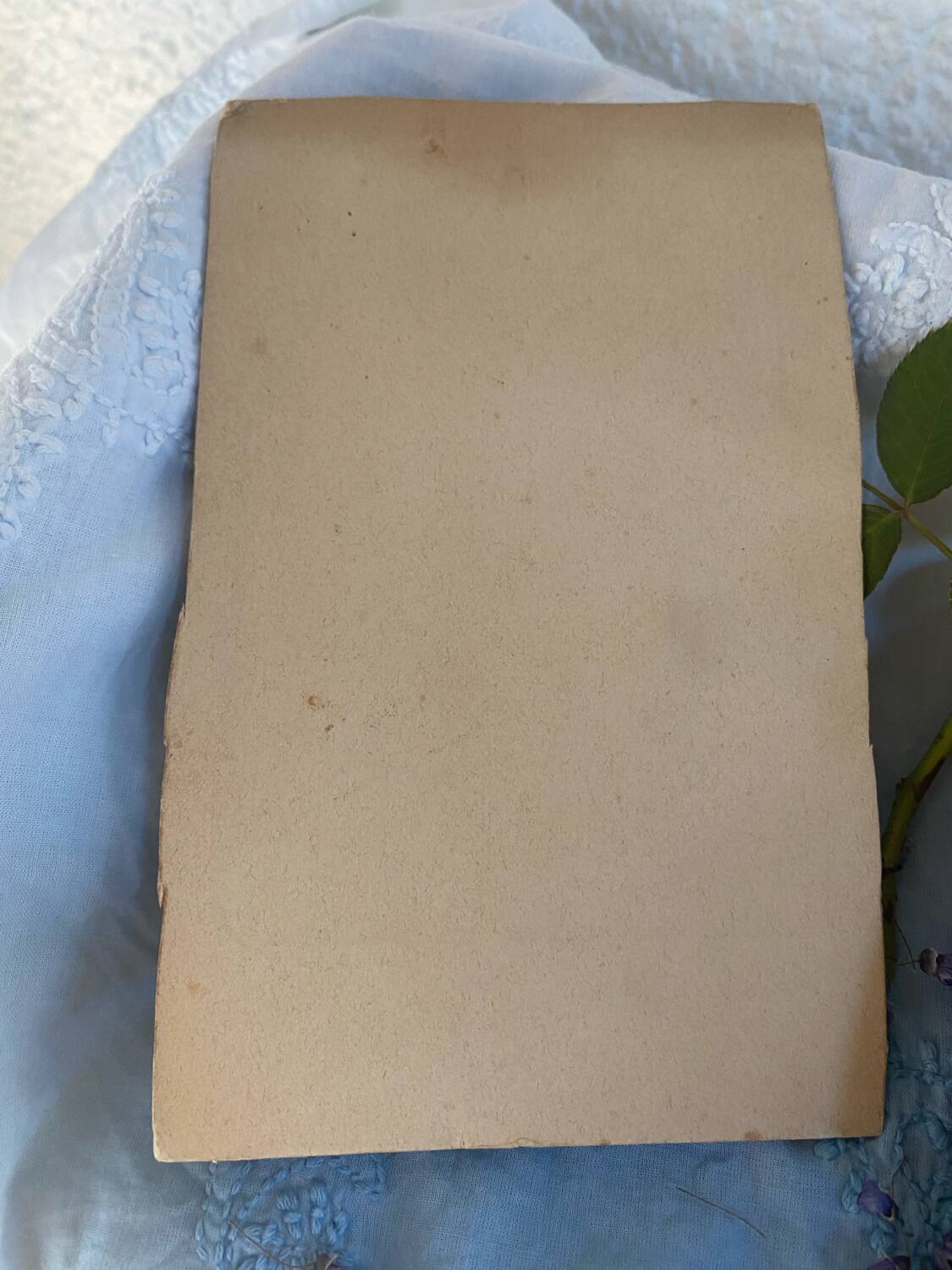 Old photograph of Swiss bride and groom