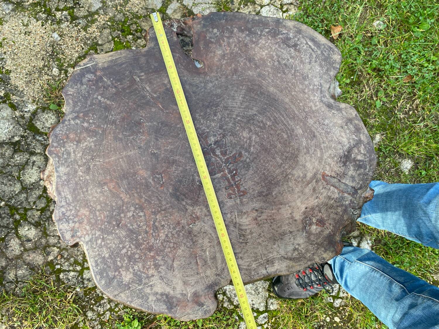 Coffee table log Elm burl? brutalist work 60s 70s