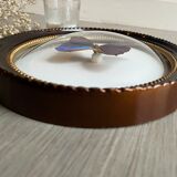 Butterfly domed glass frame "Morpho menelaus"