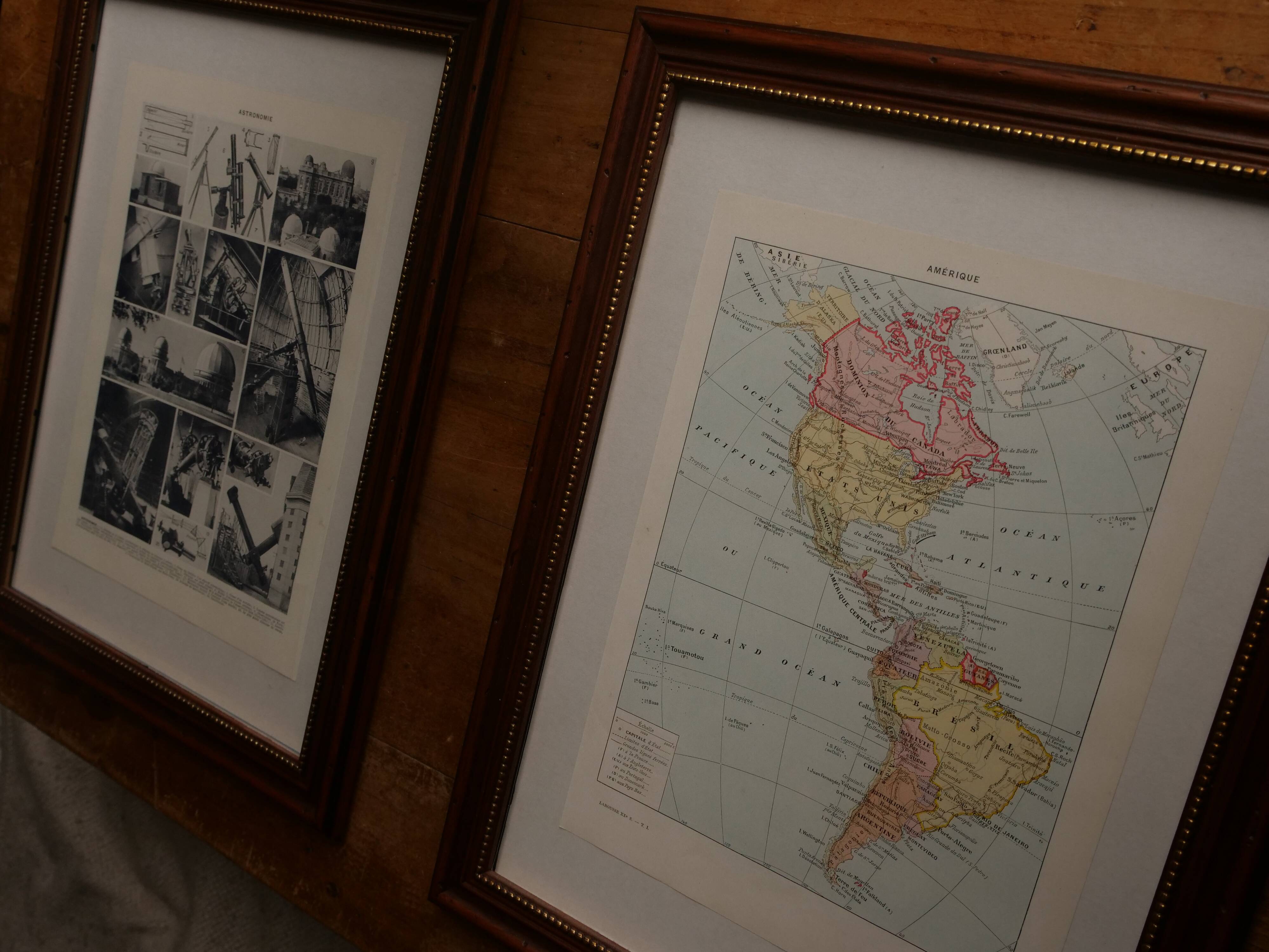 Original lithograph on the horse