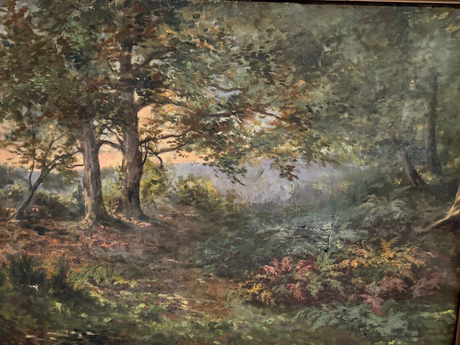 Oil on canvas undergrowth landscape by Charrrier early 20th century