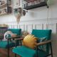 Vintage opaline walker