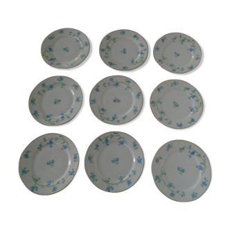Set de 9 assiettes dessert porcelaine de Limoges décor de petites fleurs bleues
