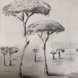 Painting signed charcoal on canvas with wooden frame “provence umbrella pines”