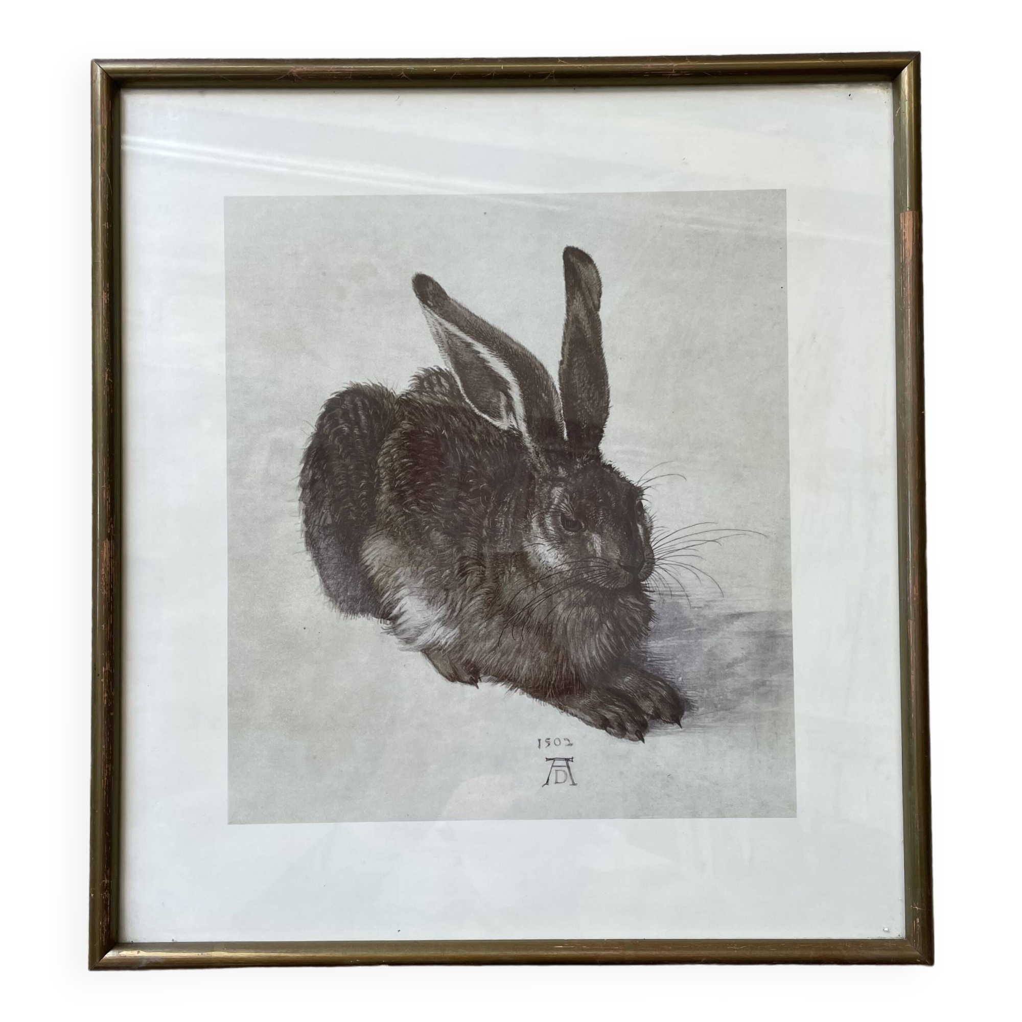 Dürer's hare illustration