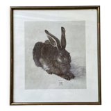 Dürer's hare illustration