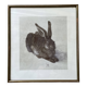 Dürer's hare illustration