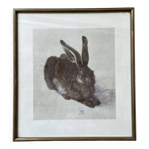 Illustration lièvre de Dürer