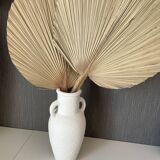 Amphora