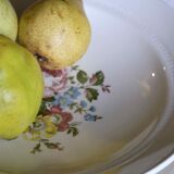 Flat faience of Lunéville China Keller & Guerin 1889 "Chaillot of Vercor" decoration in engraving enhanced drawing flowers