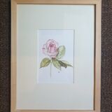 Flower in watercolor