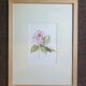 Fleur en aquarelle