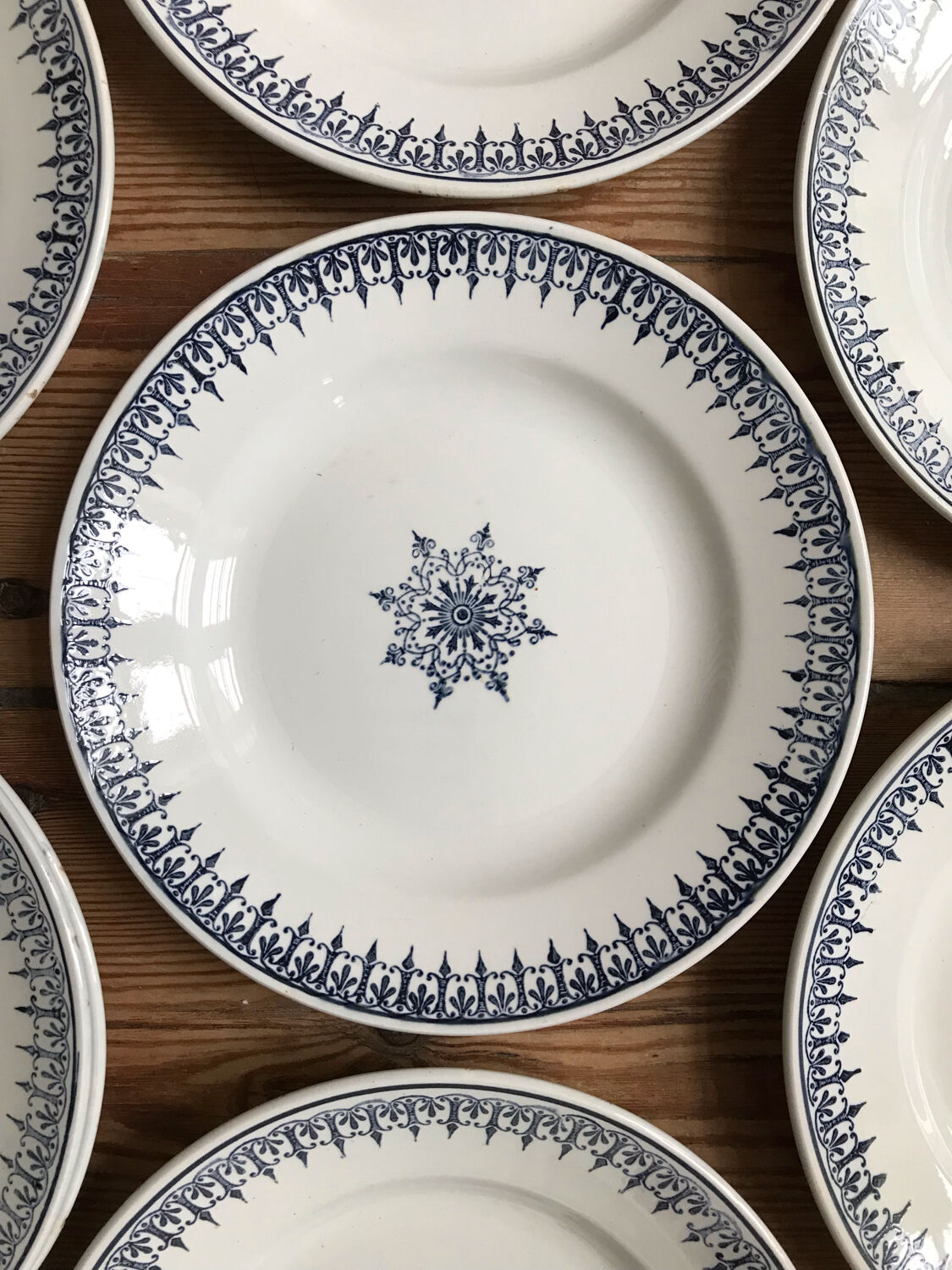 Series of 8 flat plates "PRIMAX"