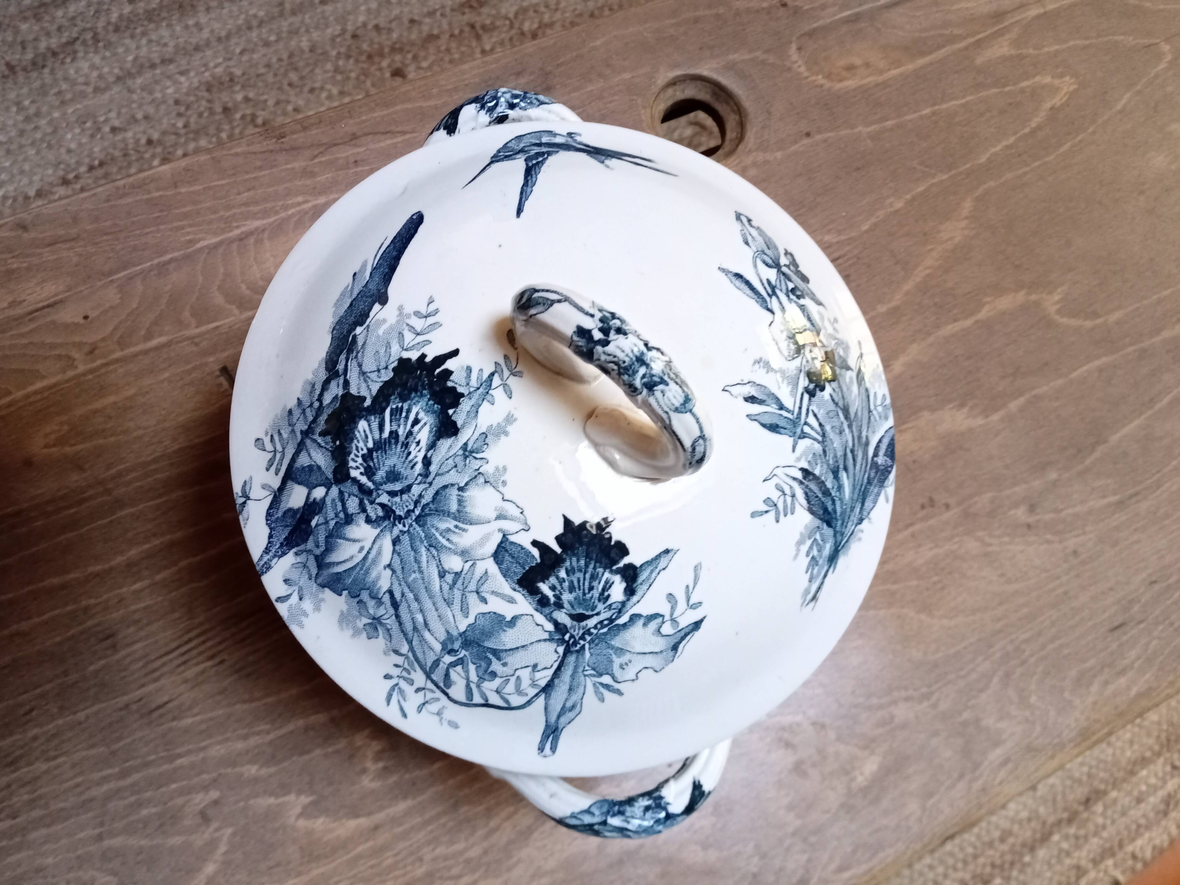 Tureen Iron Earth Orchids