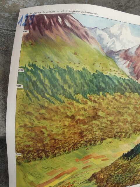 School poster editions nightingale N° 41 and 42 mountain and Mediterranean vegetation