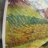 School poster editions nightingale N° 41 and 42 mountain and Mediterranean vegetation