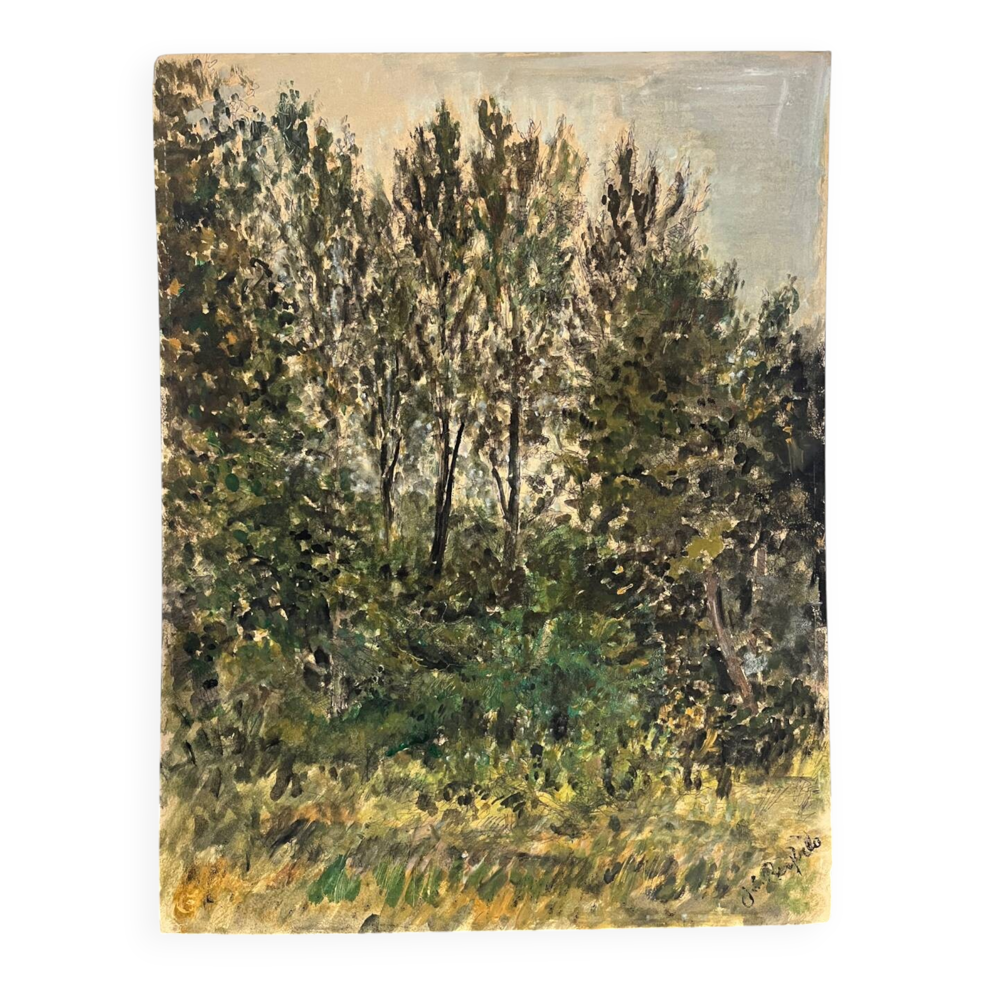 "Trees" oil on cardboard signed