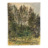 "Trees" oil on cardboard signed
