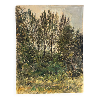 "Trees" oil on cardboard signed