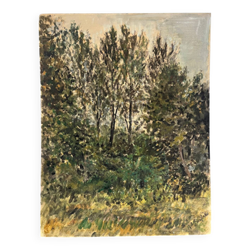 "Trees" oil on cardboard signed