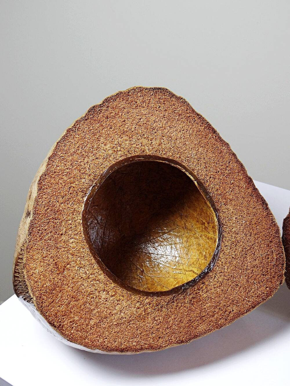 Curiosity vintage box from the 50s-60s, naturalised coconut ice bucket.