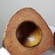 Curiosity vintage box from the 50s-60s, naturalised coconut ice bucket.