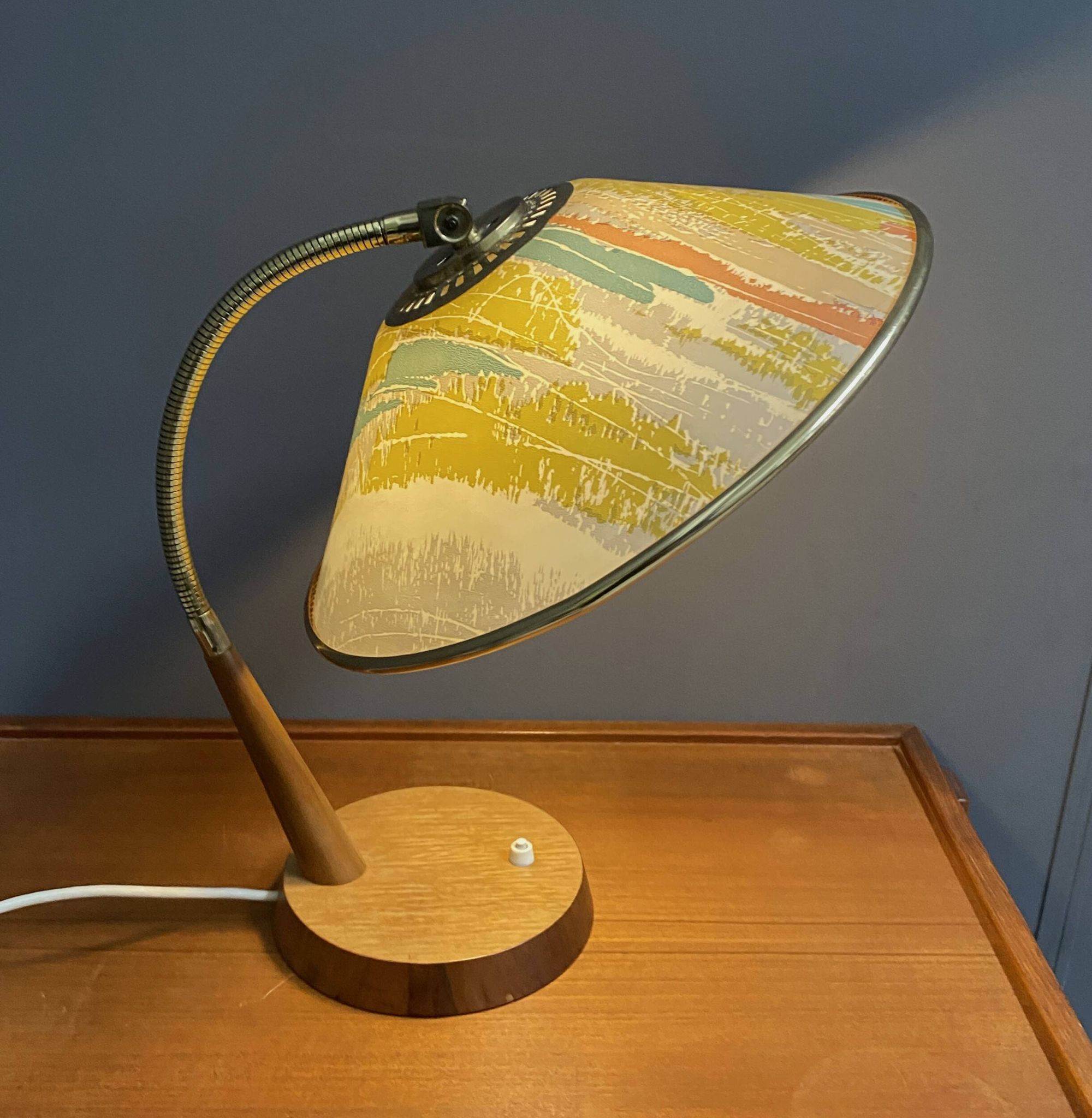 Lampe de bureau Temde années 1960 à col de cygne flexible