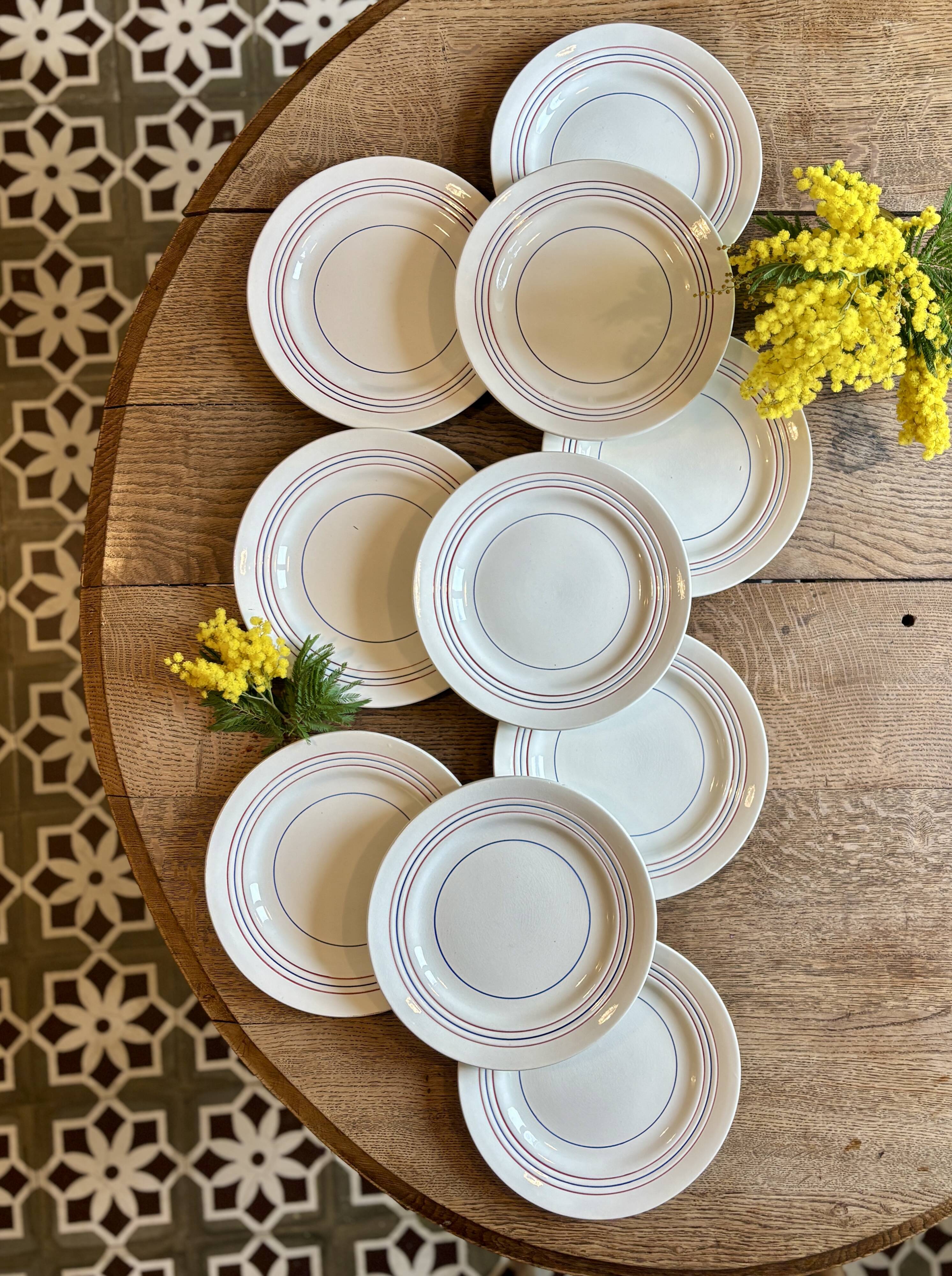Set of 10 vintage flat plates in semi-porcelain Céranord.