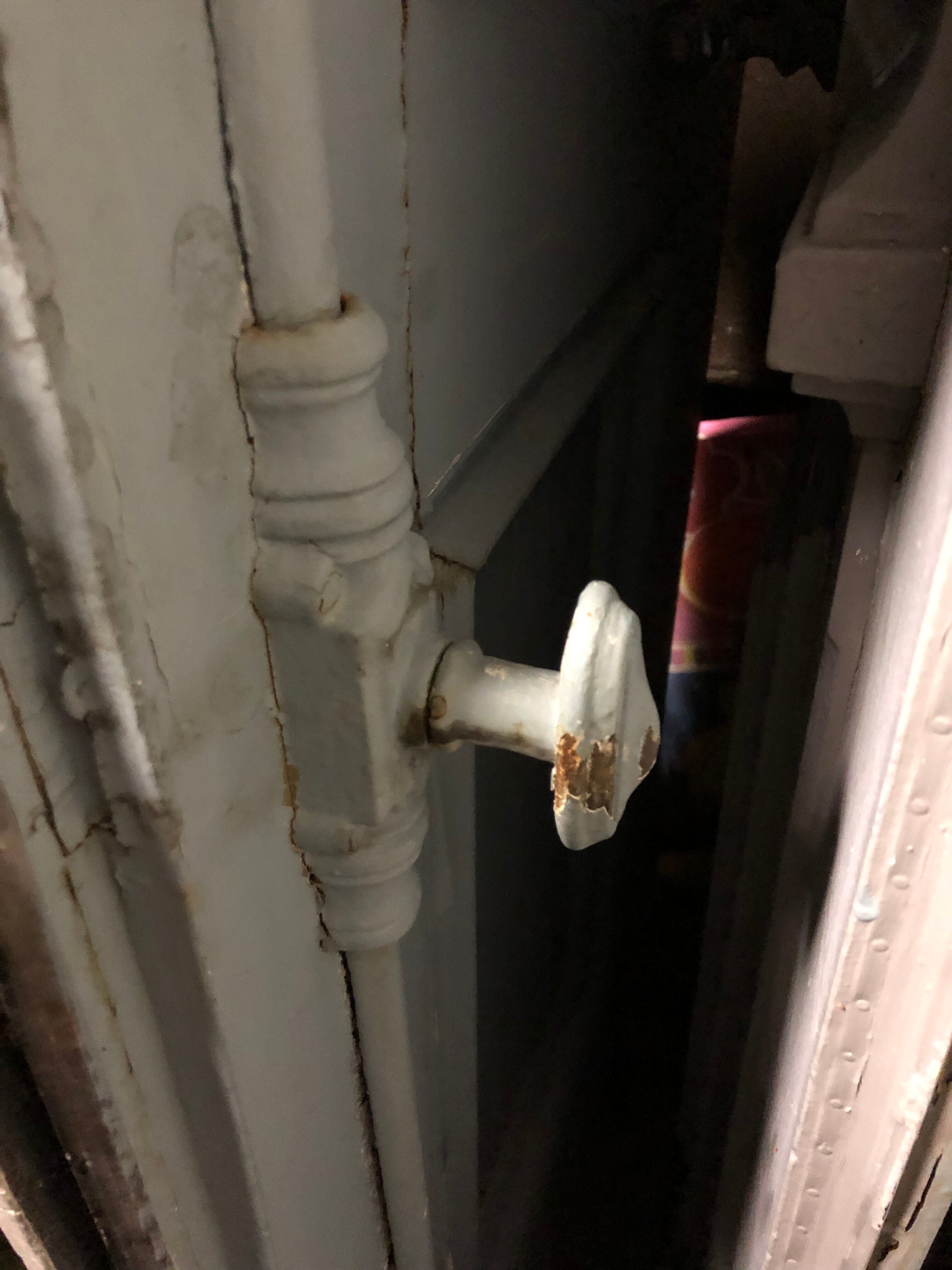 Entrance door double