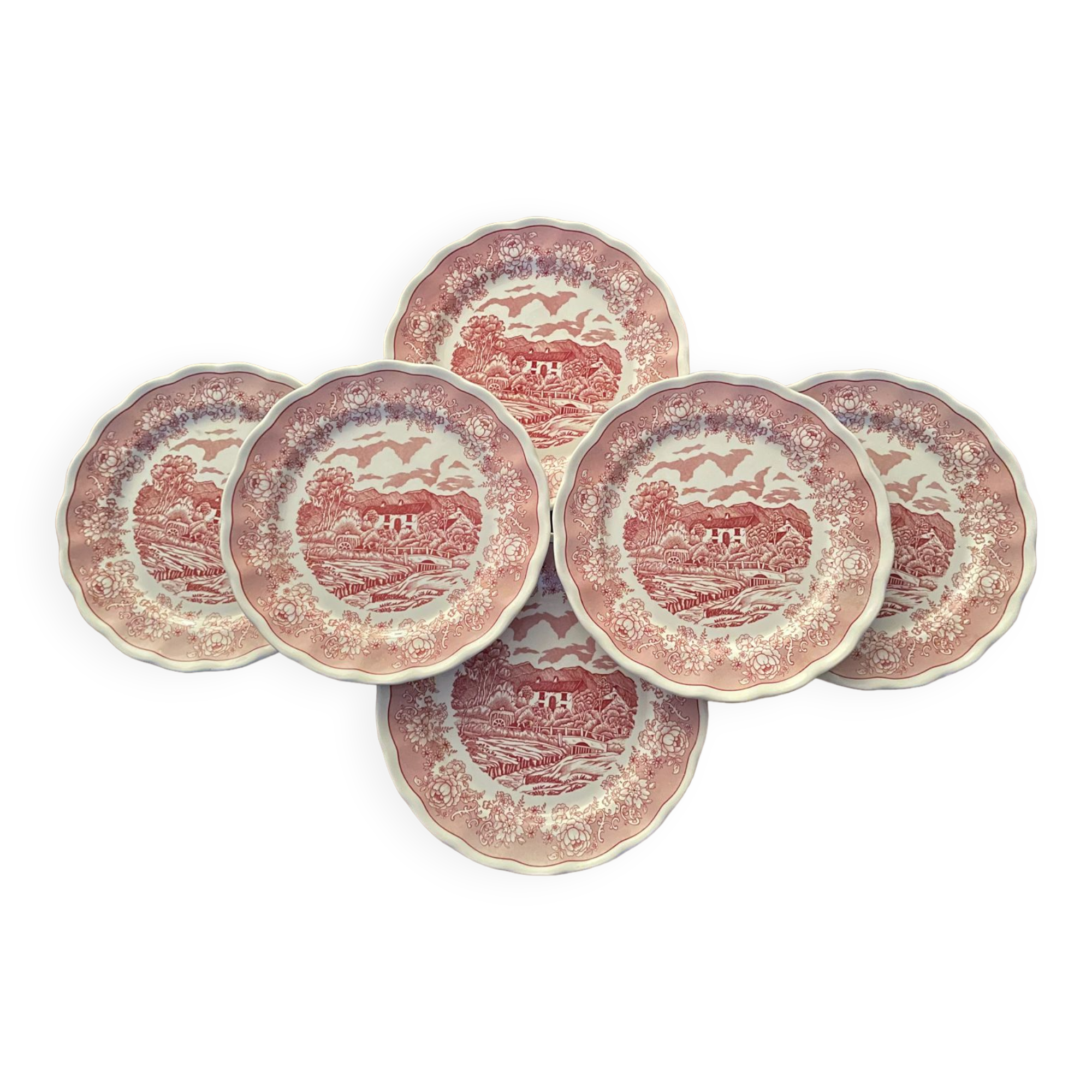 6 Fontebasso English style dinner plates