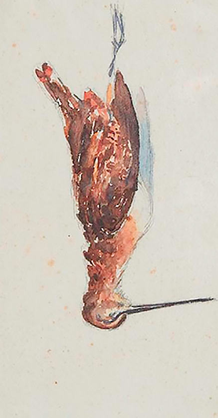 La Bécasse - Watercolor and pencil - middle XX eo - 25x45 cm