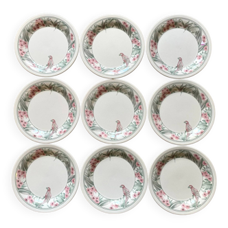 Assiettes à dessert Perroquet Tableware Staffordshire England années 80