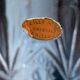 Large crystal cooler from BACCARAT DE VALERY KLEIN, new