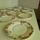 Lot of 11 Porcelain Dinner Plates Plus Presentation Dish Manufactured