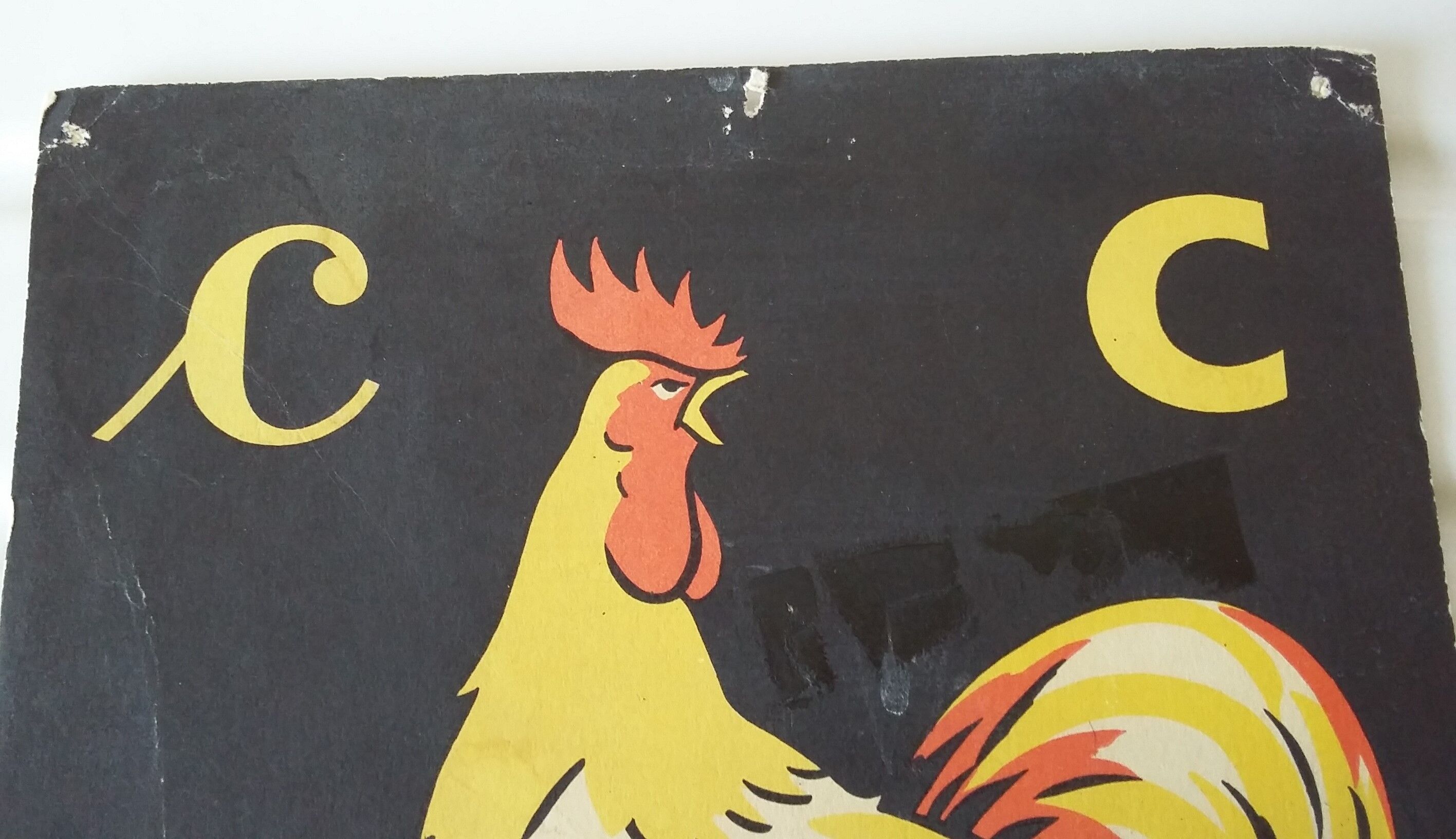 The rooster, reading image