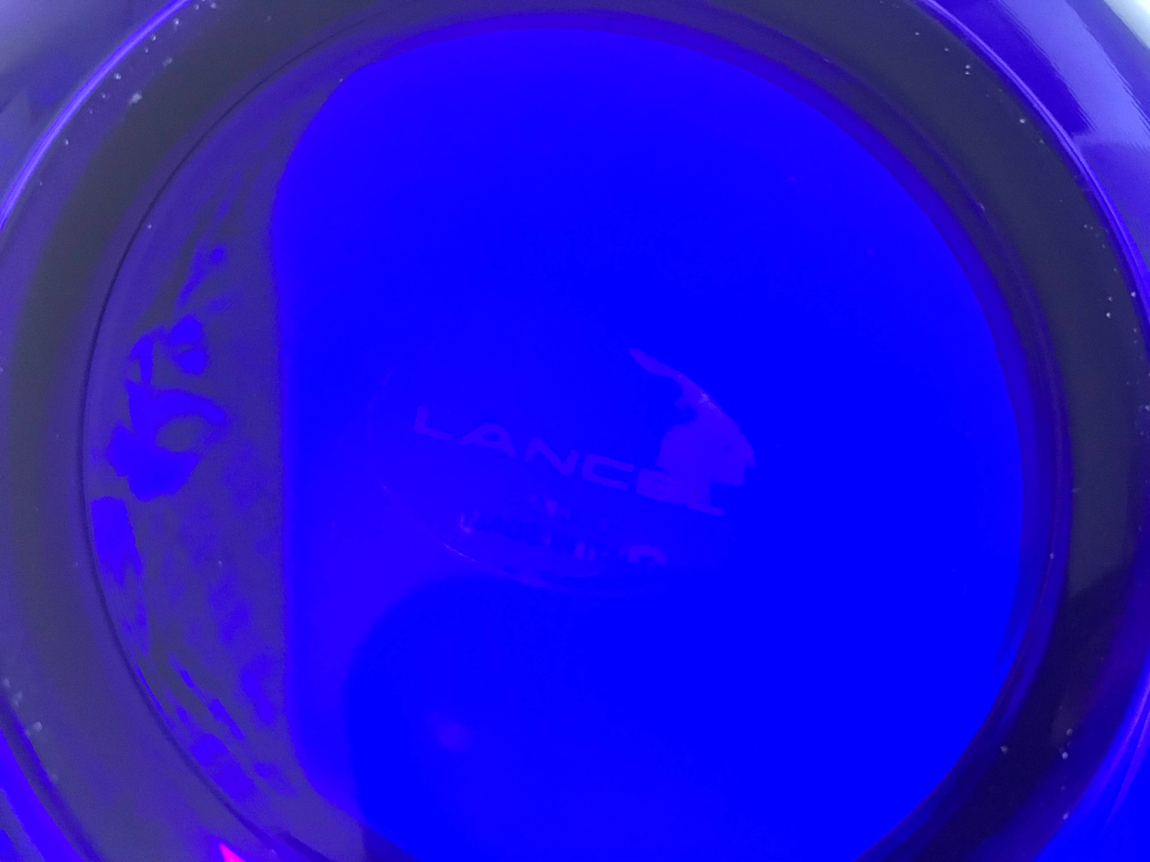 Coupe à fruits bleue avec bordure dorée Lancel