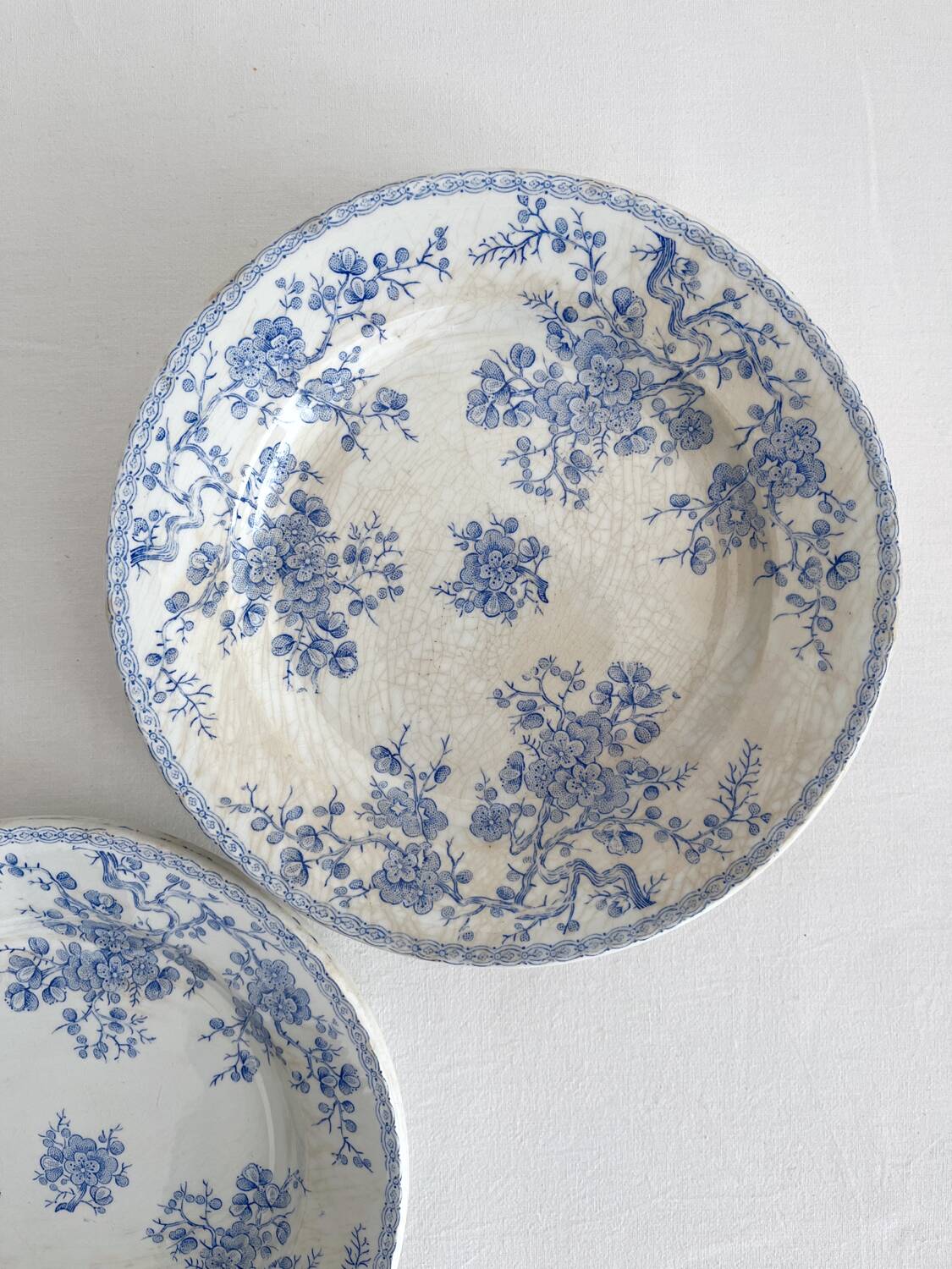 8 flat ironstone plates “Fleurette” Gien