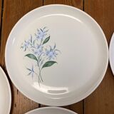 Set of 5 flat plates Sovirel