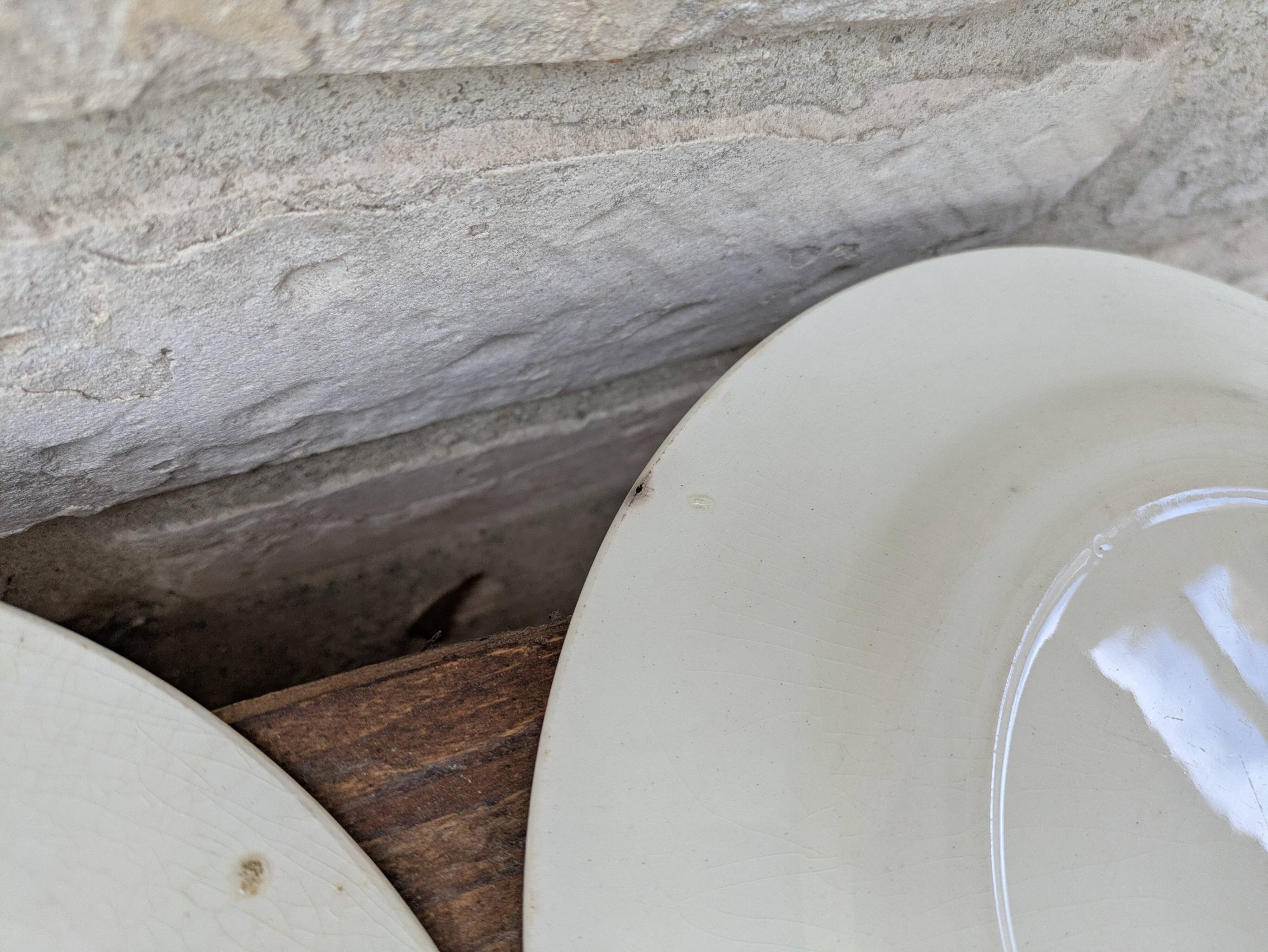 9 old flat plates in Salins ironstone model Nénuphar 24.5cm
