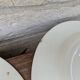9 old flat plates in Salins ironstone model Nénuphar 24.5cm