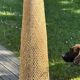 Bamboo Floor Lamp, Zen - 96 cm