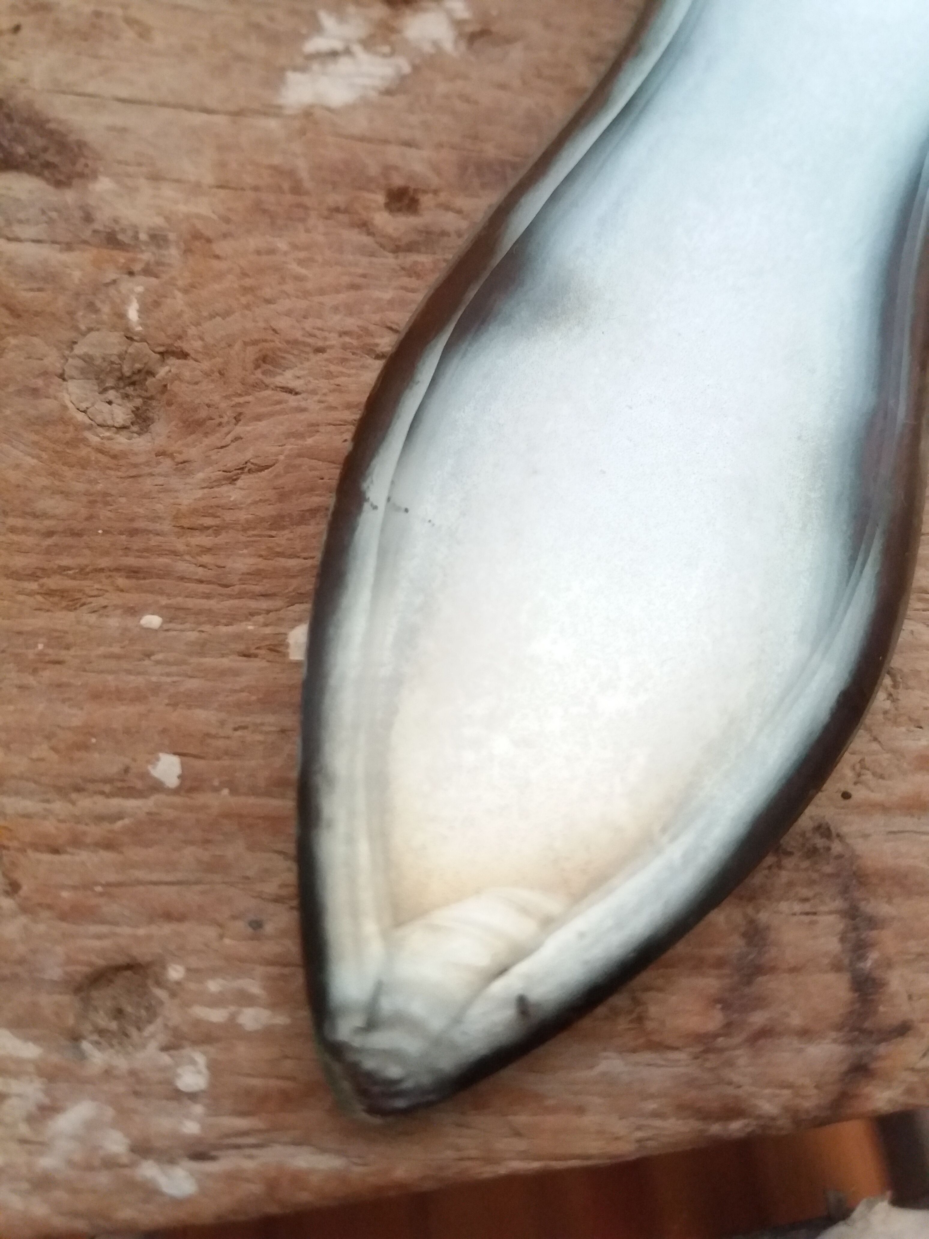 10x23cm beveled hand mirror