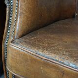 Set of 2 club armchairs in sheep leather