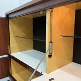 African rosewood drink cabinet, circa 1950