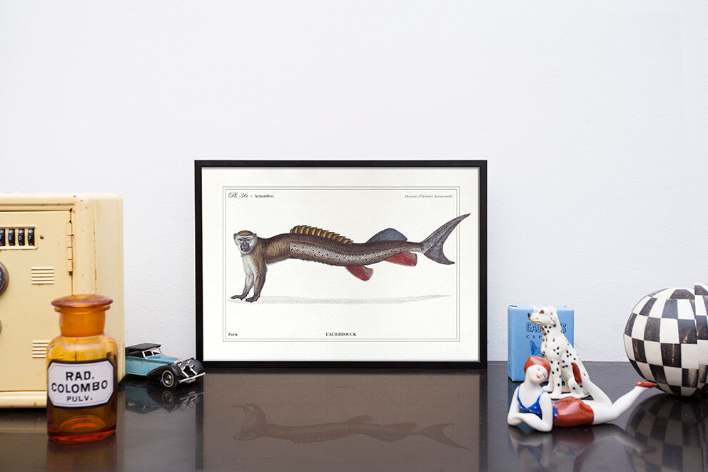 Chimera lithograph animal engraving - l'acilbrouck